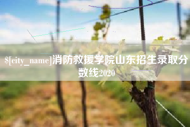 江门消防救援学院山东招生录取分数线2020