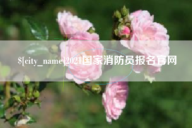 江门2021国家消防员报名官网