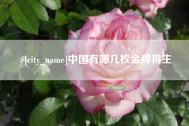 江门中国有哪几枚金牌得主