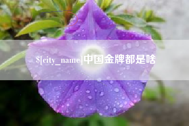 江门中国金牌都是啥