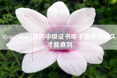 江门消防中级证书电子版查询多久才能查到