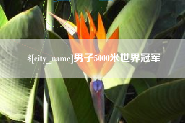江门男子5000米世界冠军
