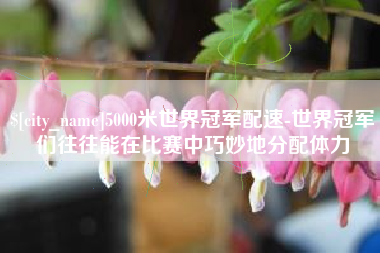 江门5000米世界冠军配速-世界冠军们往往能在比赛中巧妙地分配体力