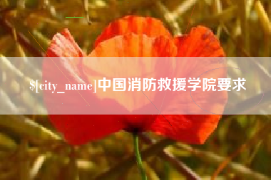 江门中国消防救援学院要求