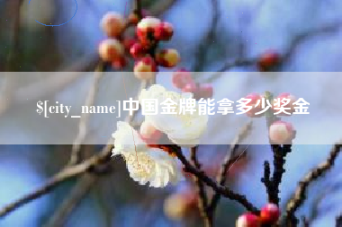 江门中国金牌能拿多少奖金
