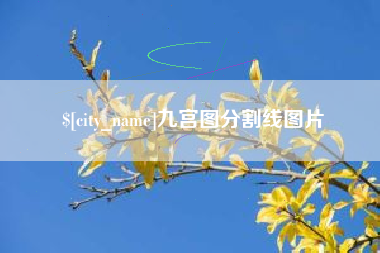 江门九宫图分割线图片
