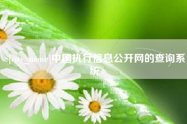 江门中国执行信息公开网的查询系统