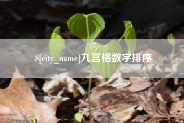 江门九宫格数字排序