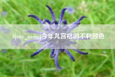 江门今年九宫格的不利颜色