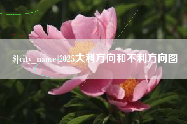 江门2025大利方向和不利方向图