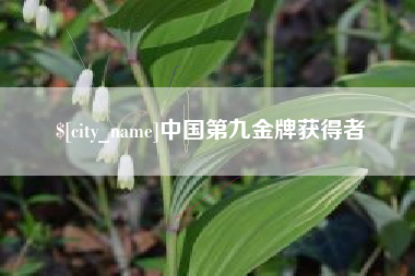 江门中国第九金牌获得者