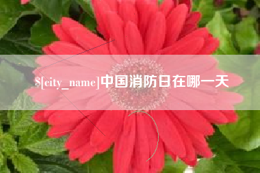 江门中国消防日在哪一天