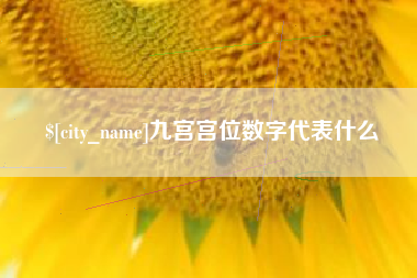 江门九宫宫位数字代表什么