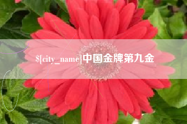 江门中国金牌第九金