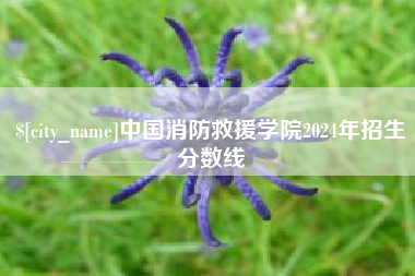 江门中国消防救援学院2024年招生分数线