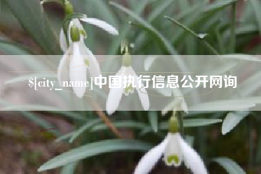 江门中国执行信息公开网询