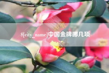 江门中国金牌哪几项