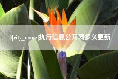 江门执行信息公开网多久更新