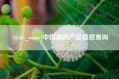 江门中国消防产品信息查询