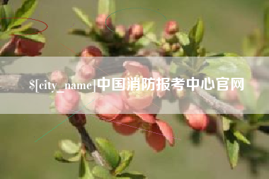 江门中国消防报考中心官网