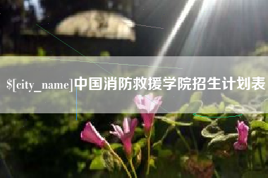 江门中国消防救援学院招生计划表