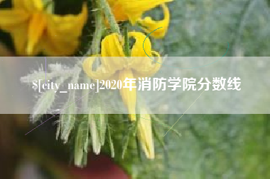 江门2020年消防学院分数线