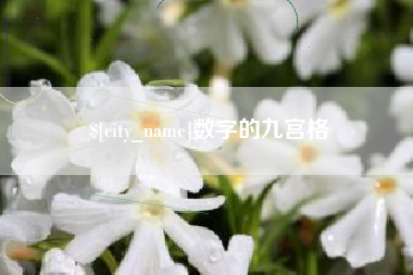 江门数字的九宫格