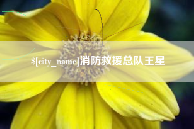 江门消防救援总队王星
