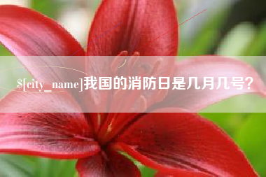 江门我国的消防日是几月几号？