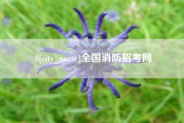 江门全国消防招考网