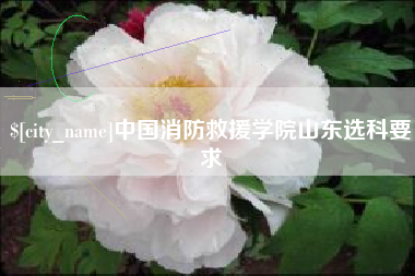 江门中国消防救援学院山东选科要求