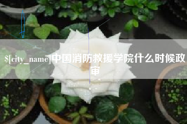 江门中国消防救援学院什么时候政审