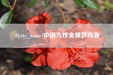 江门中国九枚金牌获得者