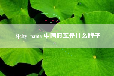 江门中国冠军是什么牌子