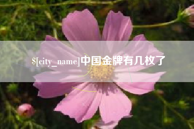 江门中国金牌有几枚了