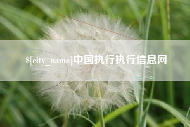 江门中国执行执行信息网
