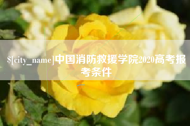 江门中国消防救援学院2020高考报考条件