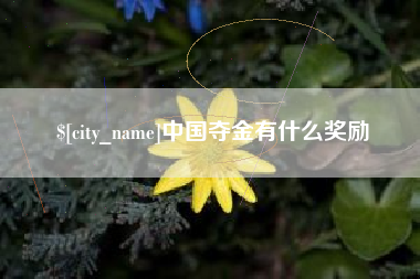 江门中国夺金有什么奖励