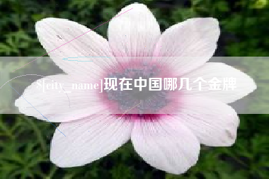 江门现在中国哪几个金牌