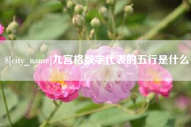 江门九宫格数字代表的五行是什么
