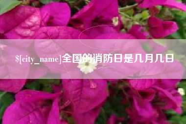 江门全国的消防日是几月几日