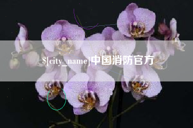 江门中国消防官方