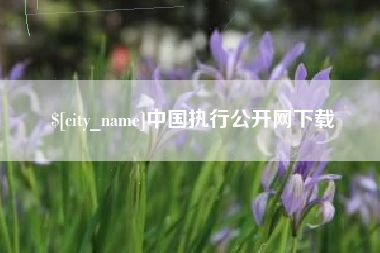 江门中国执行公开网下载