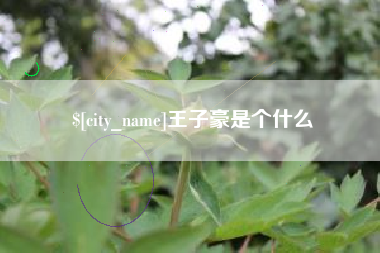 江门王子豪是个什么
