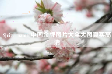 江门中国金牌图片大全大图真实高清