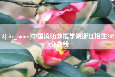 江门中国消防救援学院浙江招生2020分数线