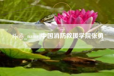 江门中国消防救援学院张勇