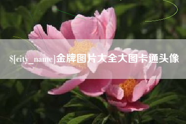 江门金牌图片大全大图卡通头像