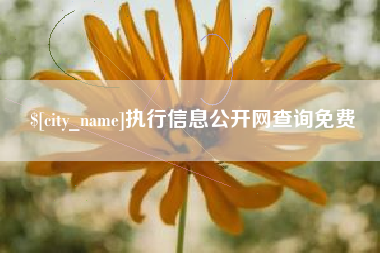 江门执行信息公开网查询免费