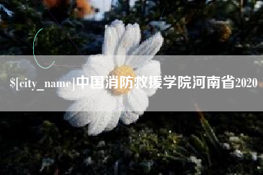 江门中国消防救援学院河南省2020